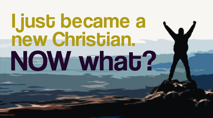 Next Steps? 1 new-Christian-course